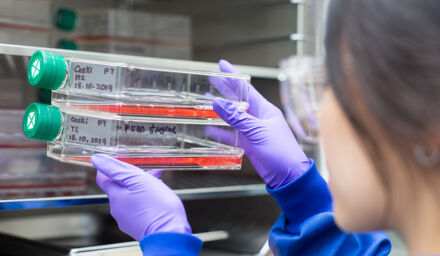 Bioinformatics Scientist