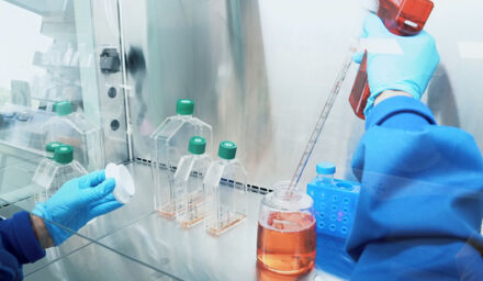 Scientist / Senior Scientist - Process Development