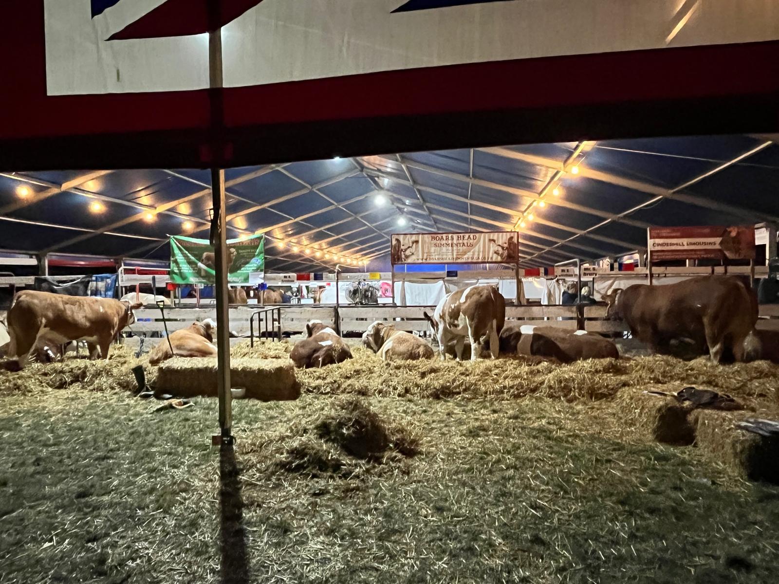 Cattle Tent